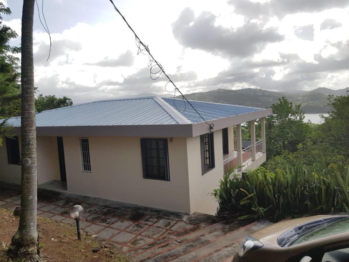 Top Hill Hostel- Martinique- Auberge Dortoir La Trinité Exteriér fotografie